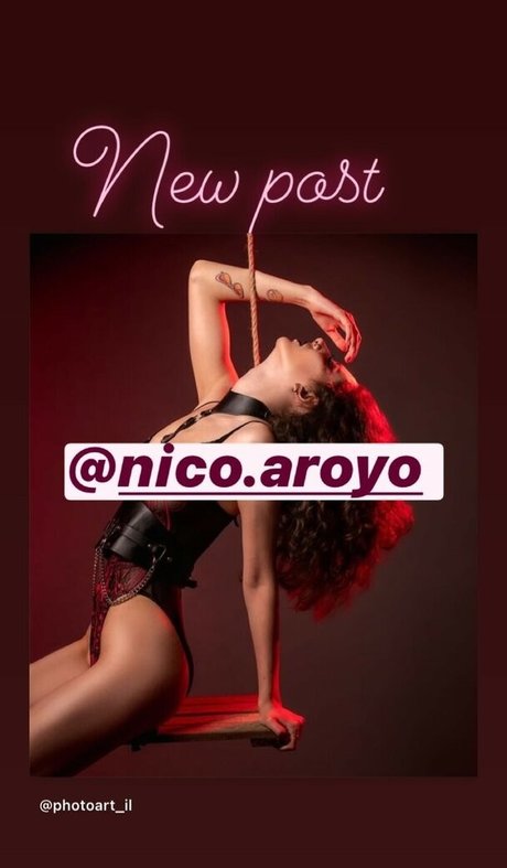 PhotoArt il ポルノスター ヌード 写真