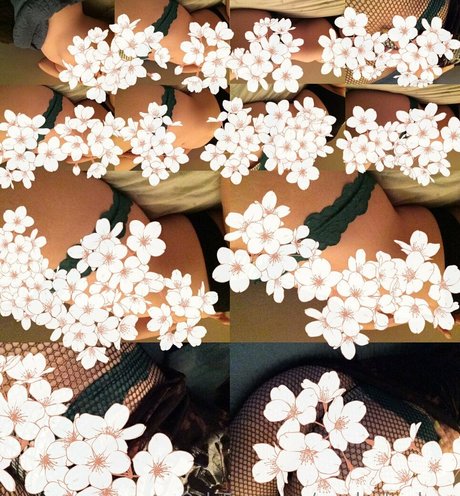 SmokeAndSomno 限定スター 画像