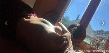 Lexi SmolBirdnsfw エロティックなスター 画像