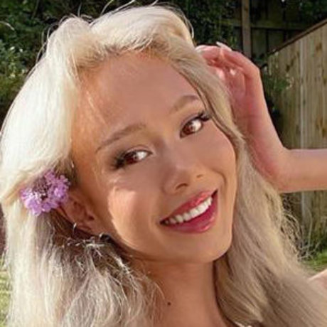 Peachypiex 高品質のスター 画像