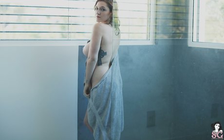 Tガールオンリーファン 美しいxxx ギャラリー