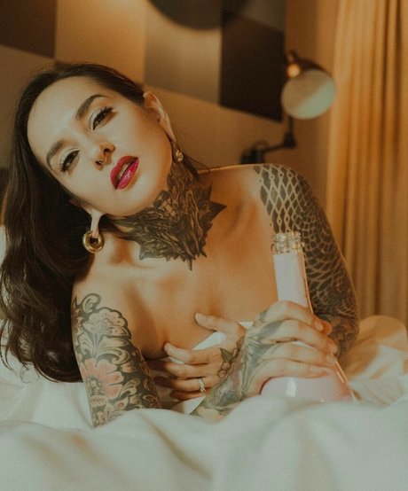 バニー無料オンリーファンズ ベスト 画像