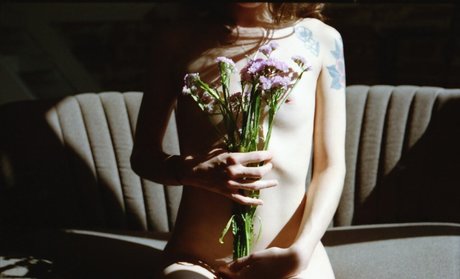 Galipompom エロティックなスター 画像