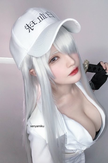 小柄なトランスオンリーファン ホットヌード 画像