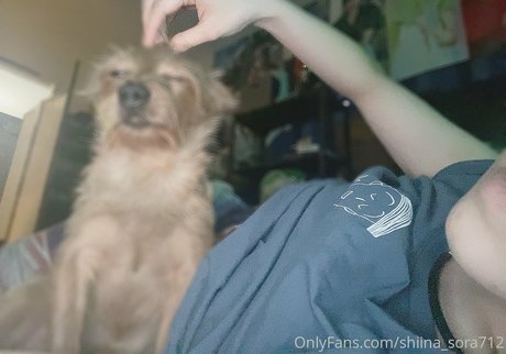 Sora Shiina エロティックなスター ギャラリー