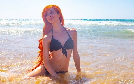 GoldBerry HDモデル 写真