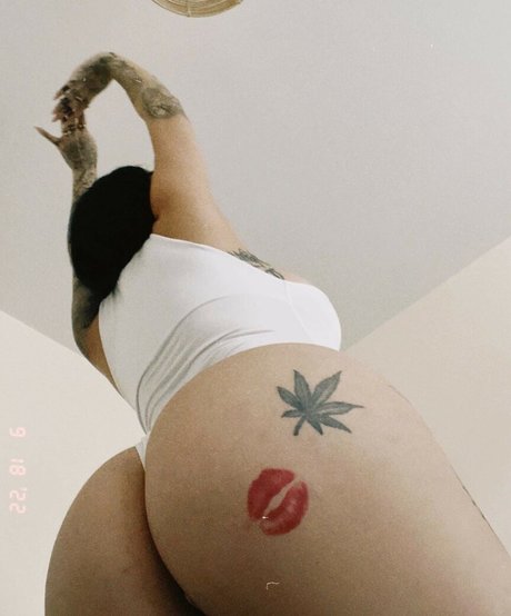 Ebugsbaby HDモデル 画像