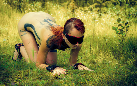 Jokers Harley Quinn アートモデル ギャラリー