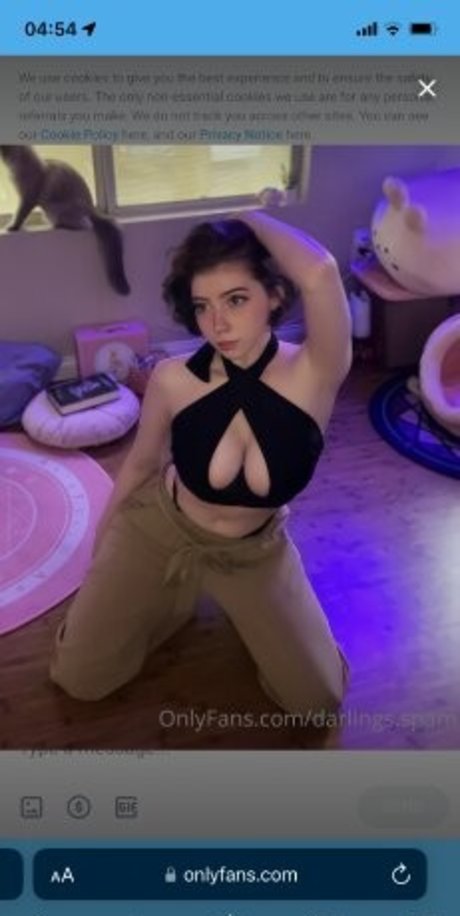 Darling Spams アダルト女優 アーカイブ