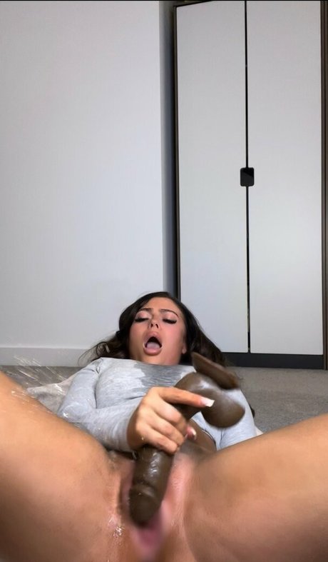 Hollydollyy 美しいスター 画像