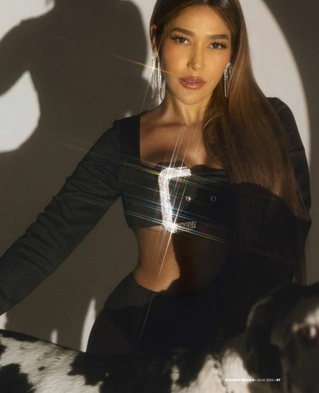 Farina エロティックモデル 画像