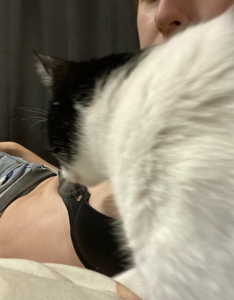 Dinkhoe かわいいスター ギャラリー