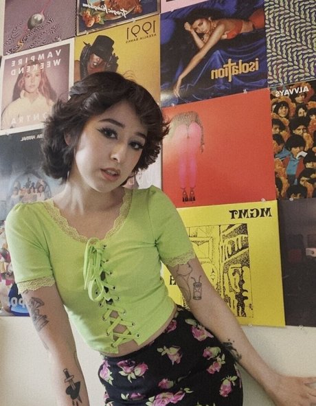 Dinkhoe 高品質のスター 画像