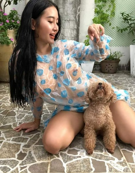 PongKyubi セクシーなスター 画像