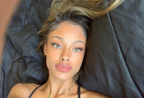 Vinetria ホットなモデル アーカイブ