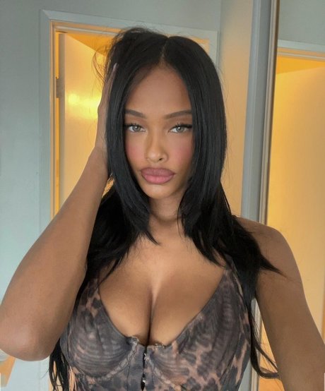 Vinetria ポルノモデル 画像