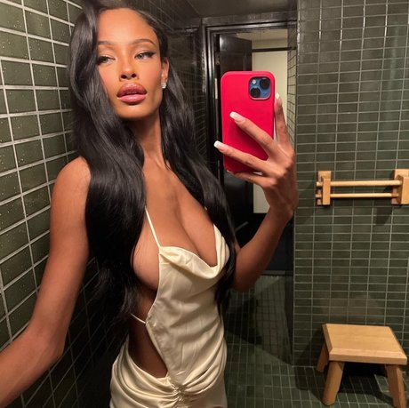 Vinetria アートスター 写真