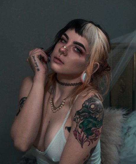 Ashesbardole ポルノスター アダルト ギャラリー