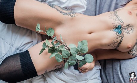 足の動画 オンリーファンズ アート裸 画像