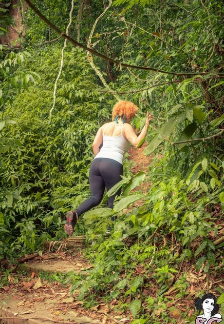 Peregrina 美しいスター 写真