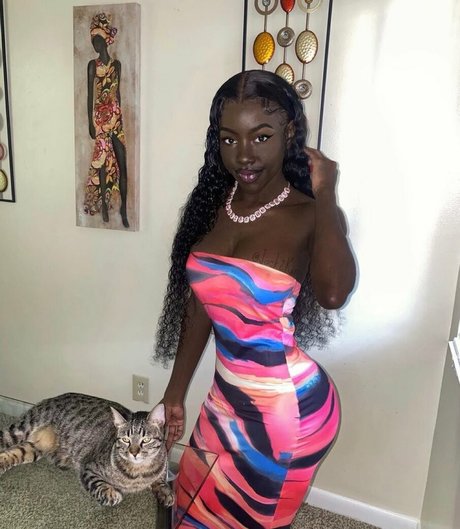 Cyn Kaine アートスター 画像