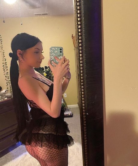 pixzn 美しいスター 写真