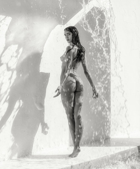 Carley Thornhill セックススター アーカイブ