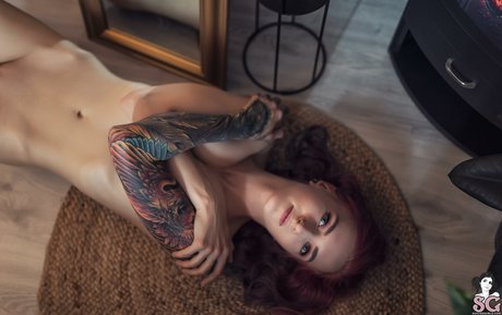 Kelloggsbombs 完璧なスター 写真