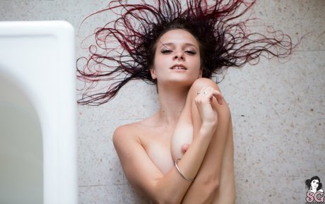 Noctae エロティックなスター 写真