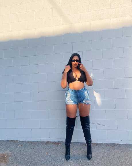 iLLi y HDモデル 写真