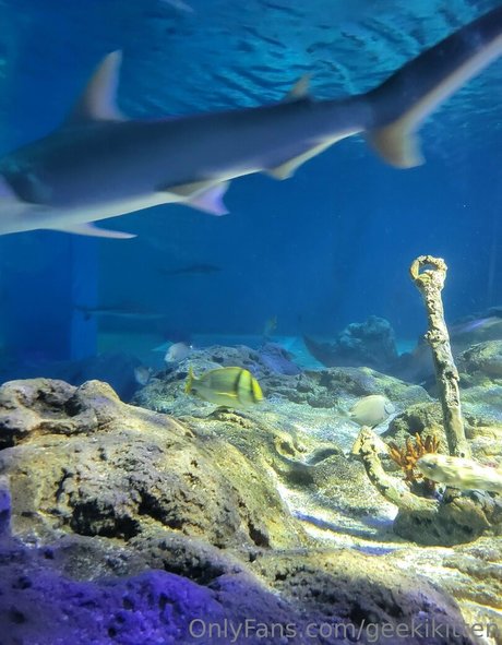 geekikitten 無料モデル ギャラリー