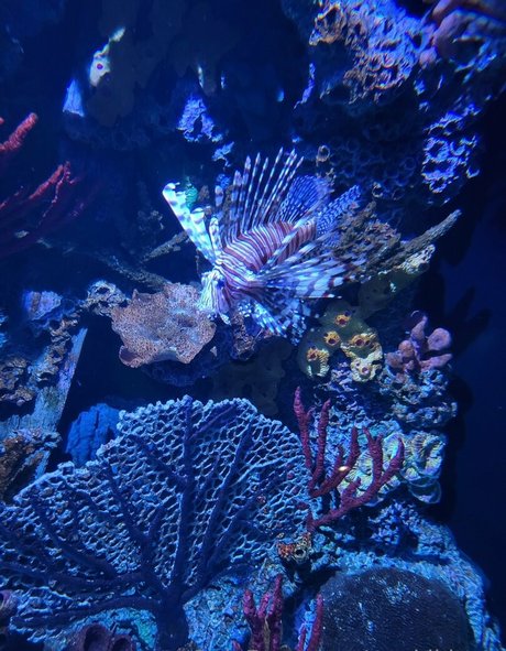 geekikitten セックスモデル ギャラリー