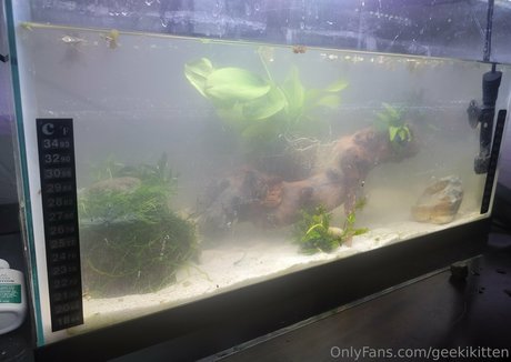 geekikitten 無料モデル ギャラリー