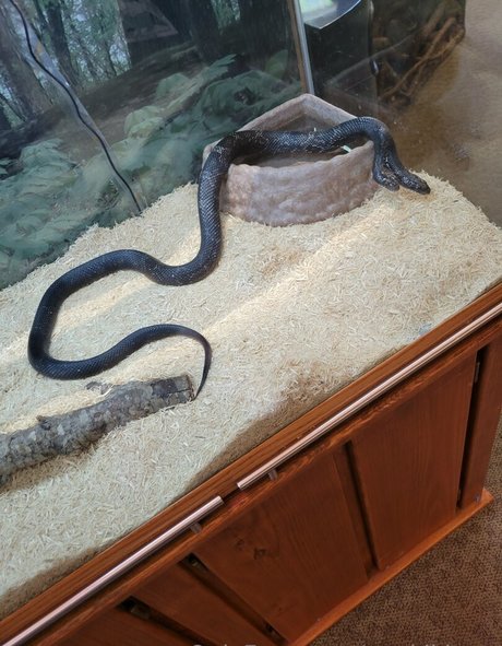 マンコ 熟女 オンリーファンズ 無料アダルト 写真