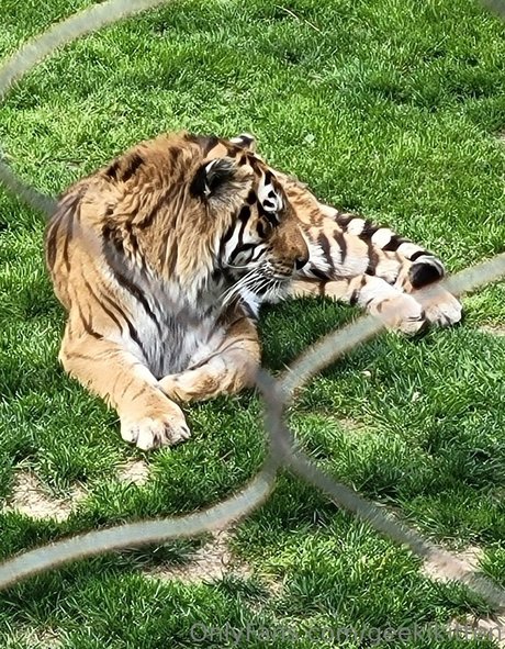 太った足のオンリーファンズ ホットセクシー アーカイブ