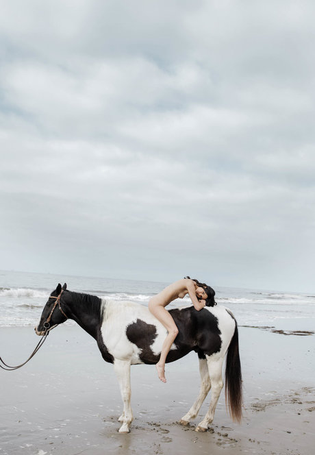 ssbbw オンリーファンズ ポルノ 写真