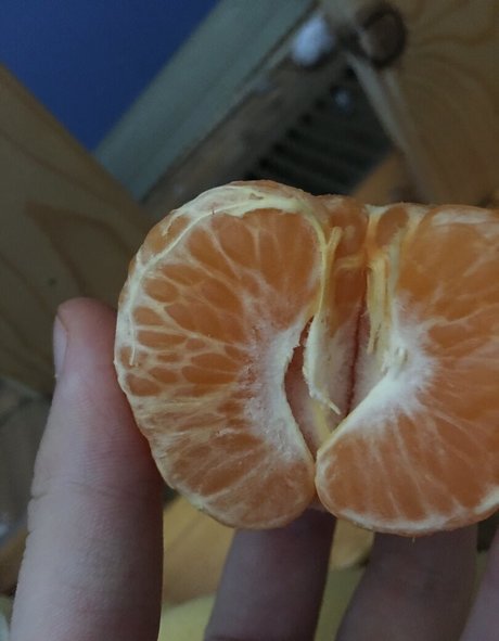 lewdology ポルノスター 写真