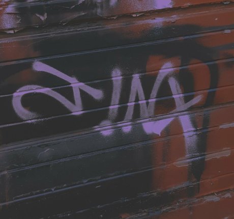 lewdology 最高のポルノスター 写真