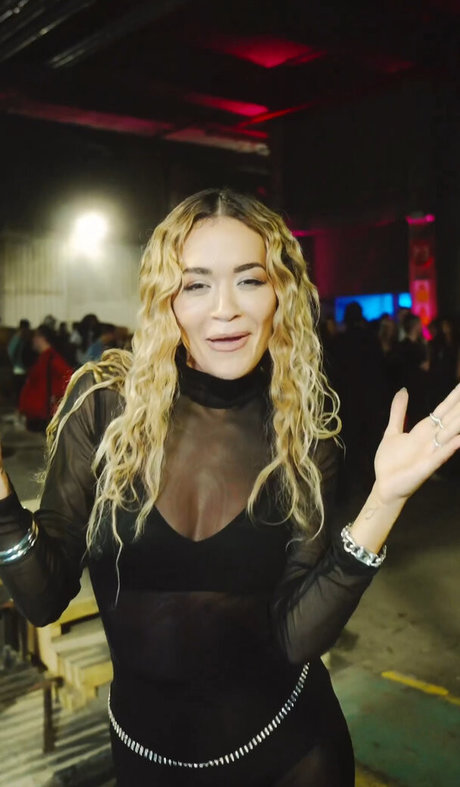 ダウンオンリーファン トップ 写真