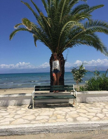 dancy free 高品質のスター ギャラリー