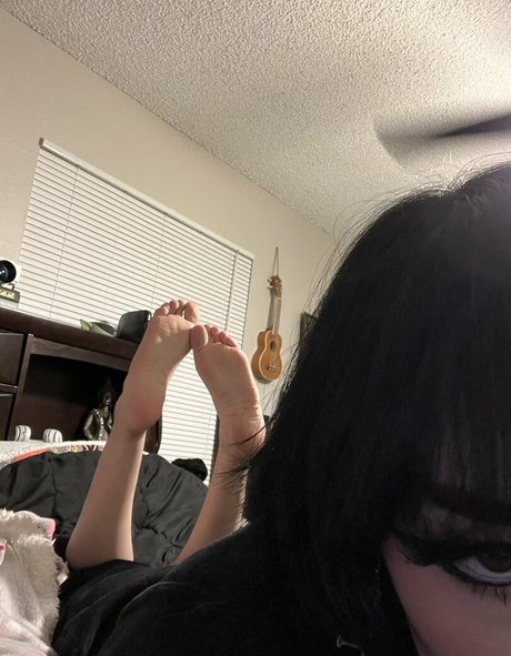 Redroomromance 素敵なスター 画像