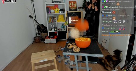 Meowko 素敵な女優 アーカイブ