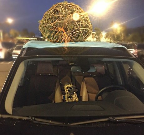 ティックトックスター オンリーファンズ アートポルノ ギャラリー