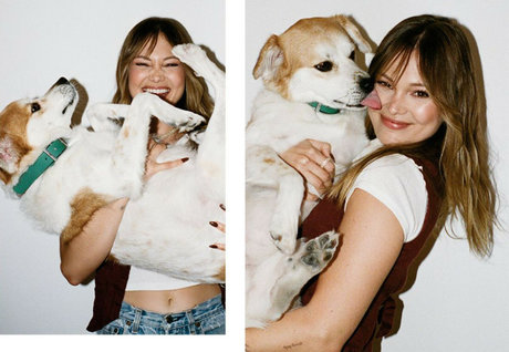 Olivia Holt ポルノスター ギャラリー