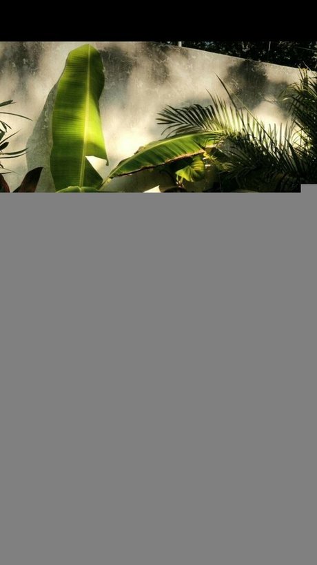 お尻を広げるオンリーファンズ ホットヌード 写真