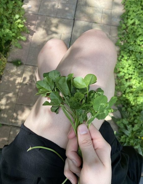 肉厚熟女オンリーファンズ アートポルノ 画像