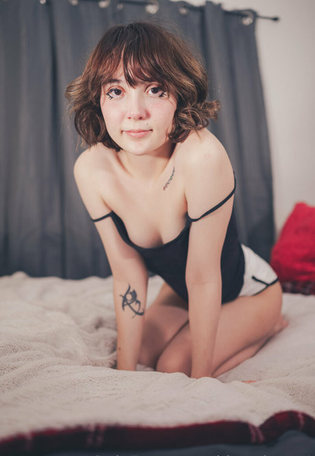 kitty kaya1 かわいいスター 写真