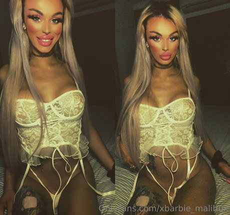 xbarbie malibux 限定モデル 写真