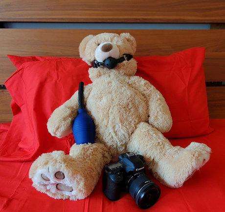 Kissasins かわいいスター 写真