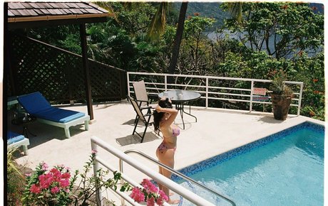 タトゥーオンリーファン 限定 アーカイブ